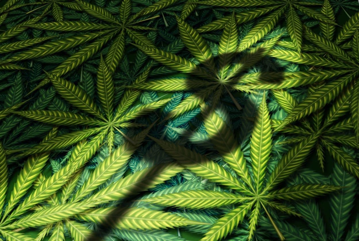 2025 State of the Cannabis Industry: Sales Trends and Forecasts | Cannabis Science and Technology - Cannabis Industry News, Insights