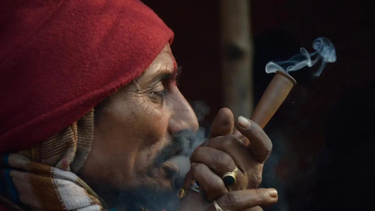 Cannabis in India: Legal Paradox, Cultural Legacy, and the Fight for Reform